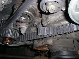 Timing Belt
